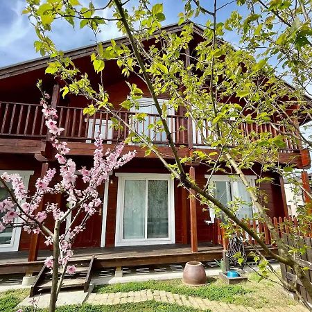 Log House #Ab1 Apartment Seto Ngoại thất bức ảnh